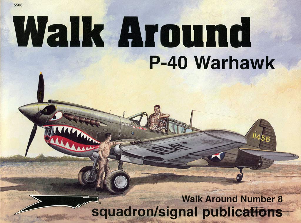 P40 Warhawk  Walk Around No. 8