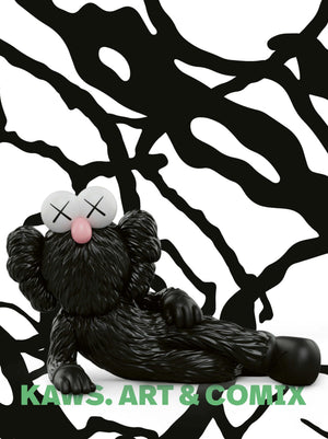 Kaws: Art And Comics
