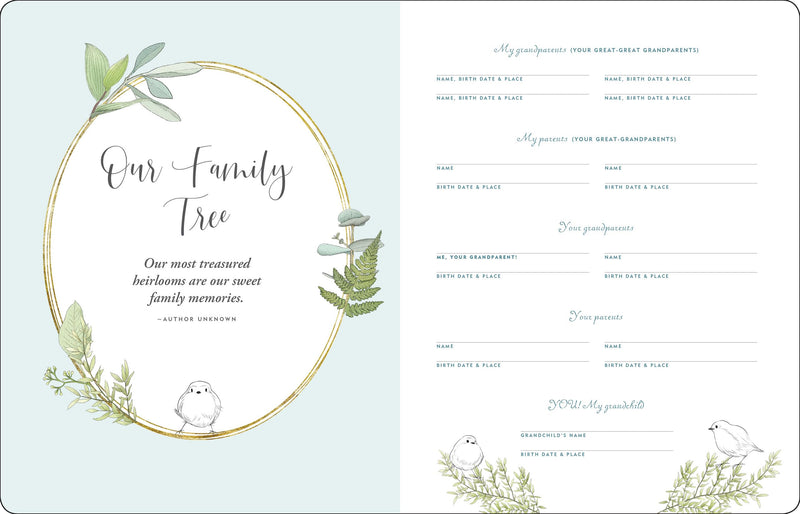 Memories For My Grandchild (Cloth Bound, Deluxe Edition)