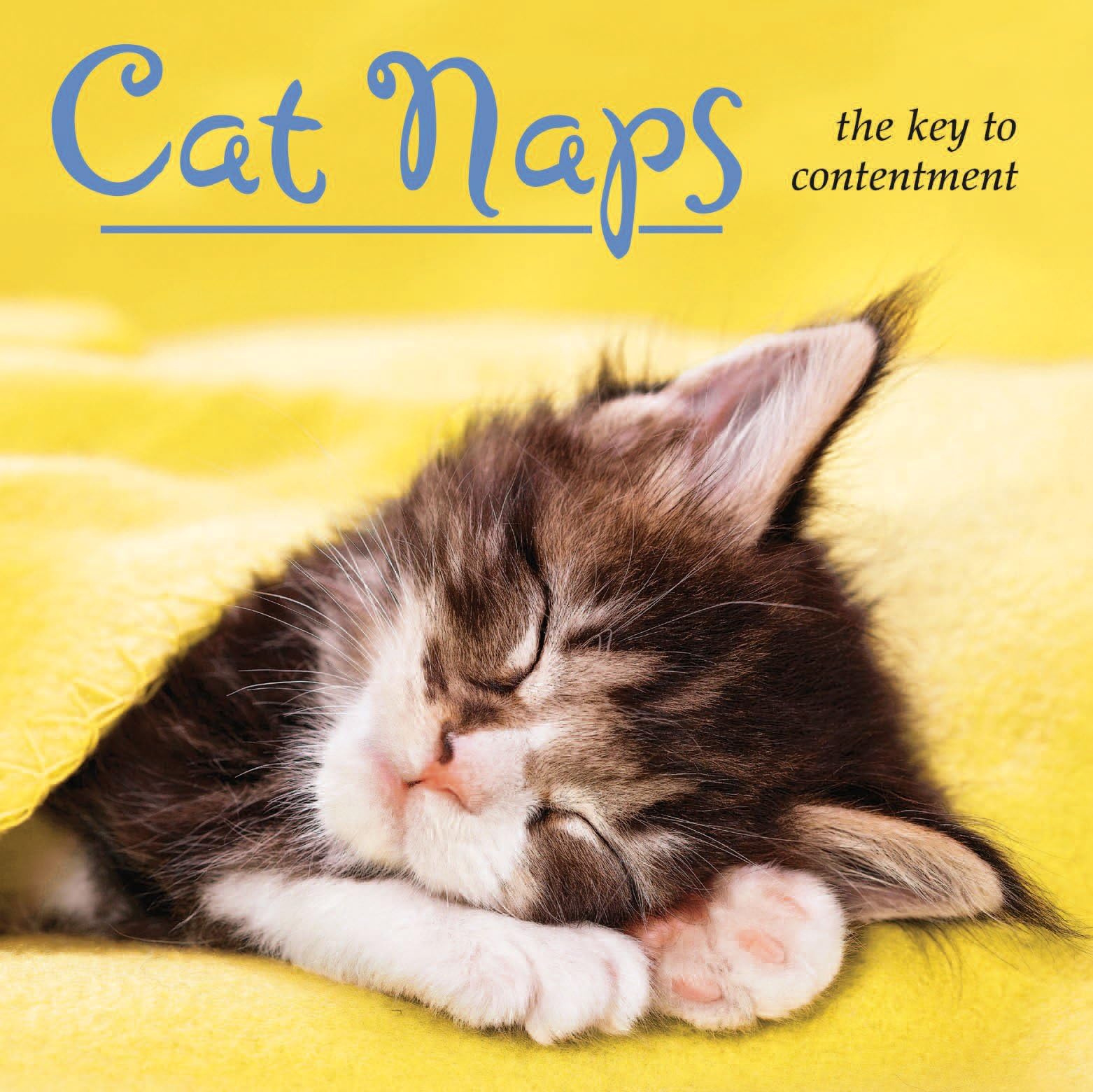Cat Naps: The Key to Contentment,Used
