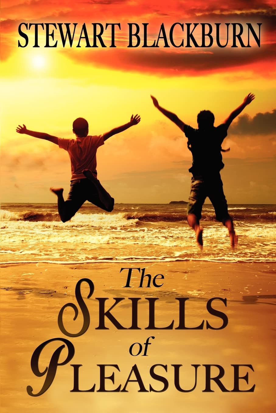 The Skills Of Pleasure: Crafting The Life You Want,Used