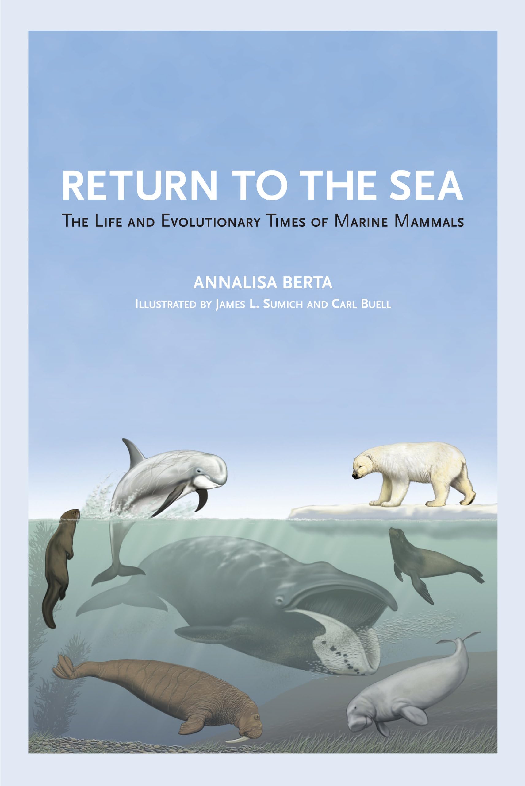 Return to the Sea: The Life and Evolutionary Times of Marine Mammals,Used