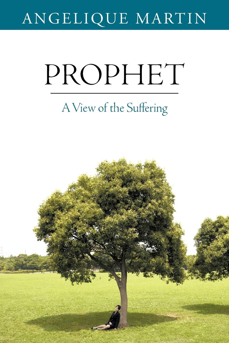 Prophet: A View Of The Suffering,Used
