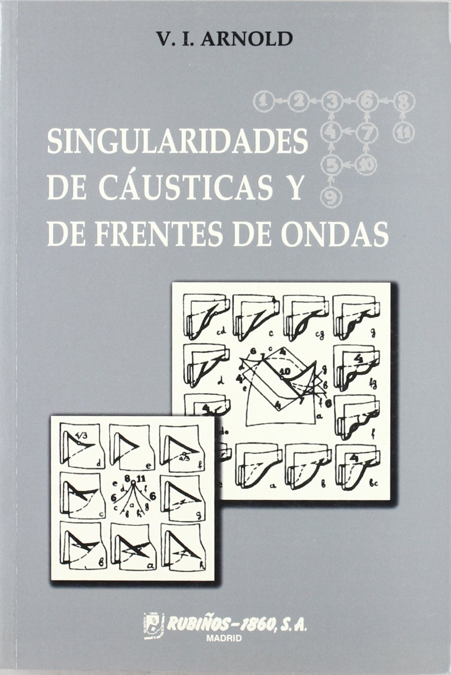 SINGULARIDADES CASTICAS Y DE FRENTES DE ONDAS (Fondos Distribuidos) (Spanish Edition),Used