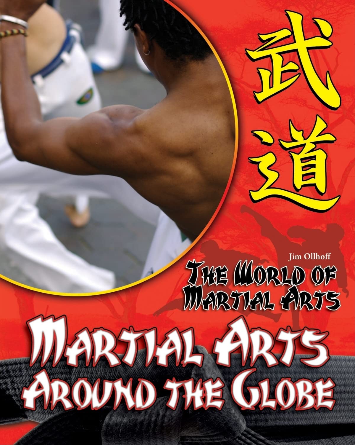Martial Arts Around the Globe (The World of Martial Arts),Used