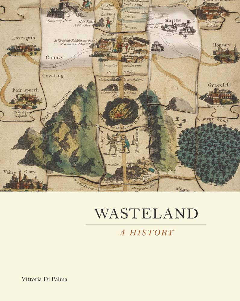 Wasteland: A History,Used