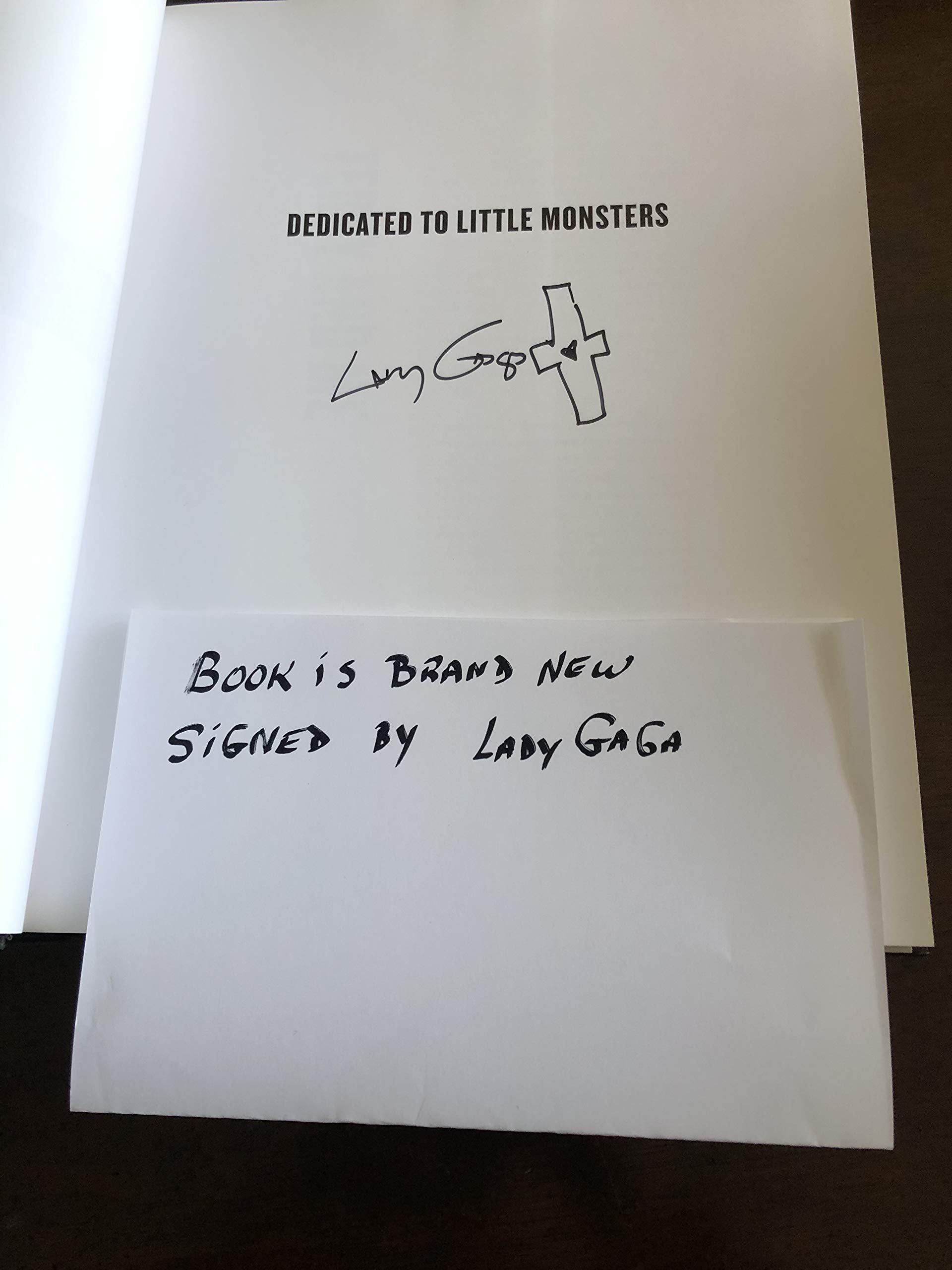Lady Gaga X Terry Richardson-New