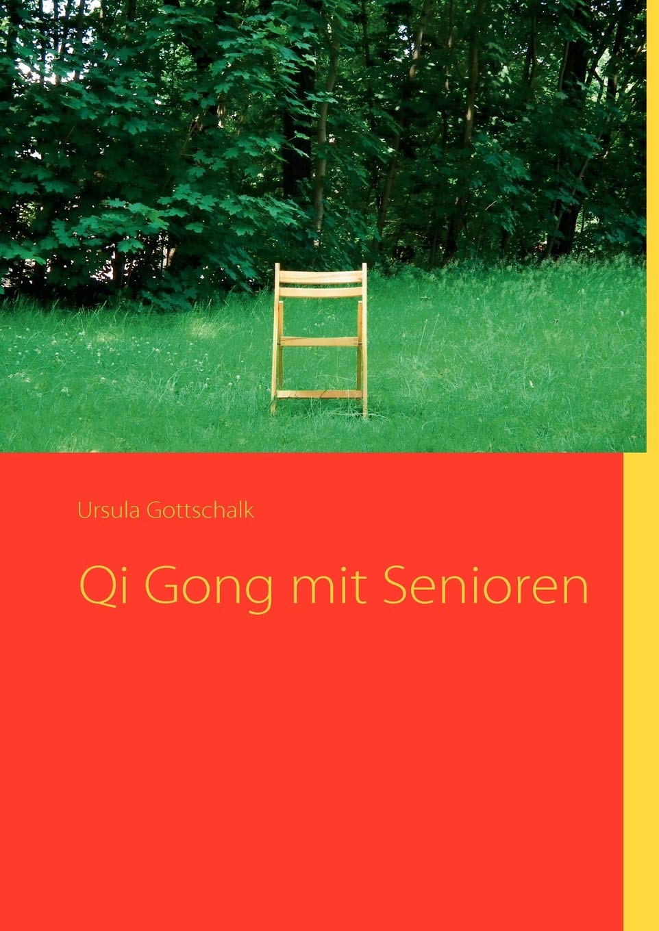 Qi Gong mit Senioren (German Edition),Used