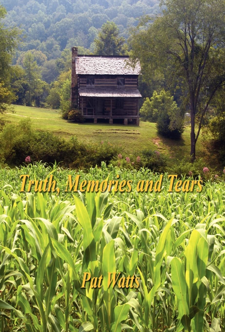 Truth, Memories and Tears,Used