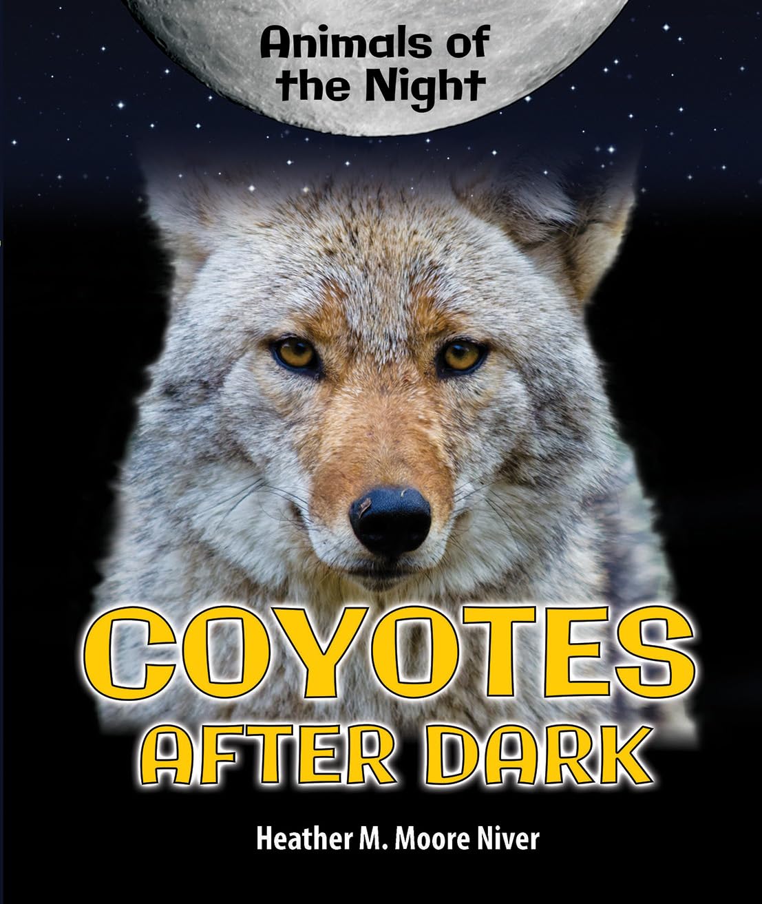 Coyotes After Dark (Animals of the Night),Used