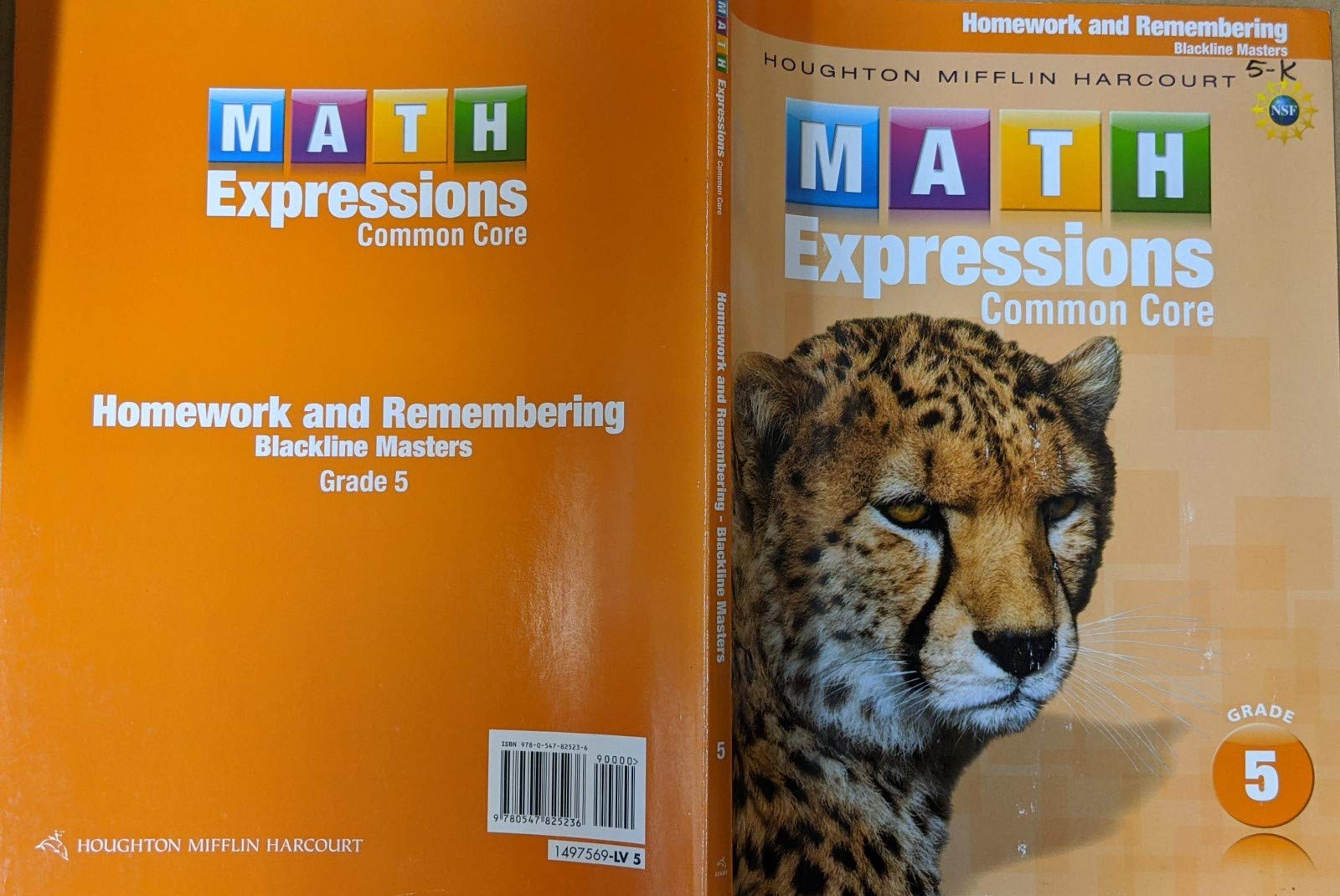 Math Expressions: Homework & Remembering Black Line Masters Grade 5-new,New