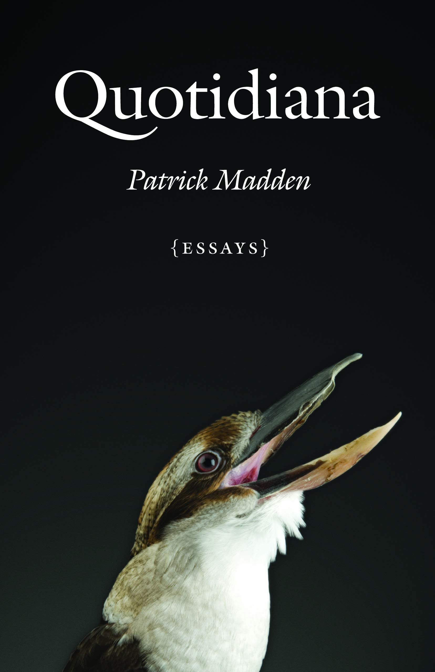 Quotidiana: Essays,Used