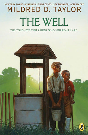 The Well : David's Story (Logan Family Saga, 2),Used