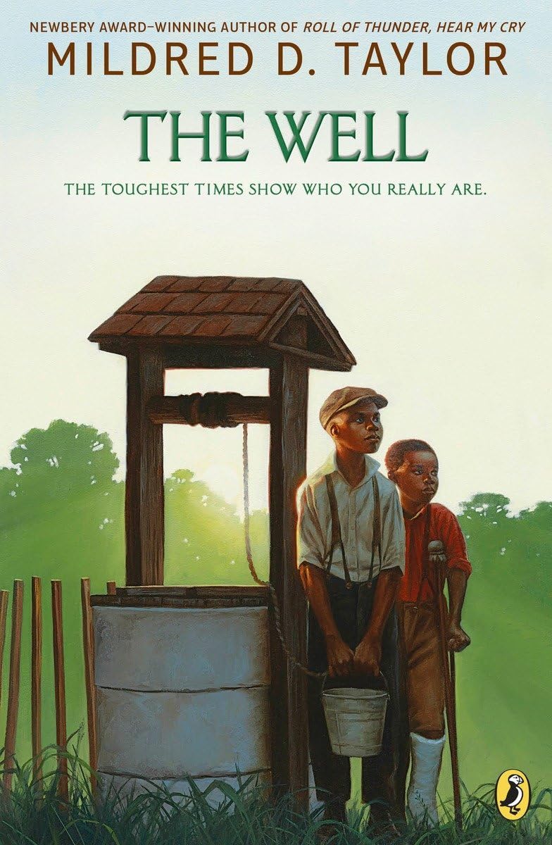 The Well : David's Story (Logan Family Saga, 2),Used