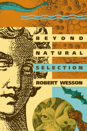 Beyond Natural Selection (Bradford Books),New
