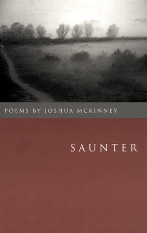 Saunter: Poems (The Contemporary Poetry Ser.),New