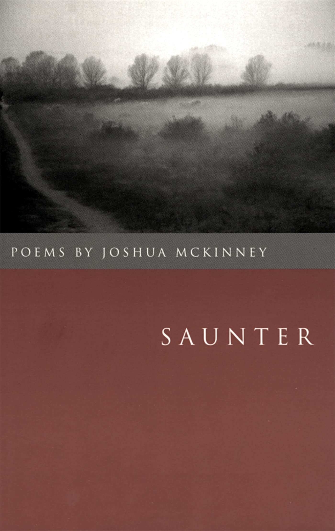 Saunter: Poems (The Contemporary Poetry Ser.),Used