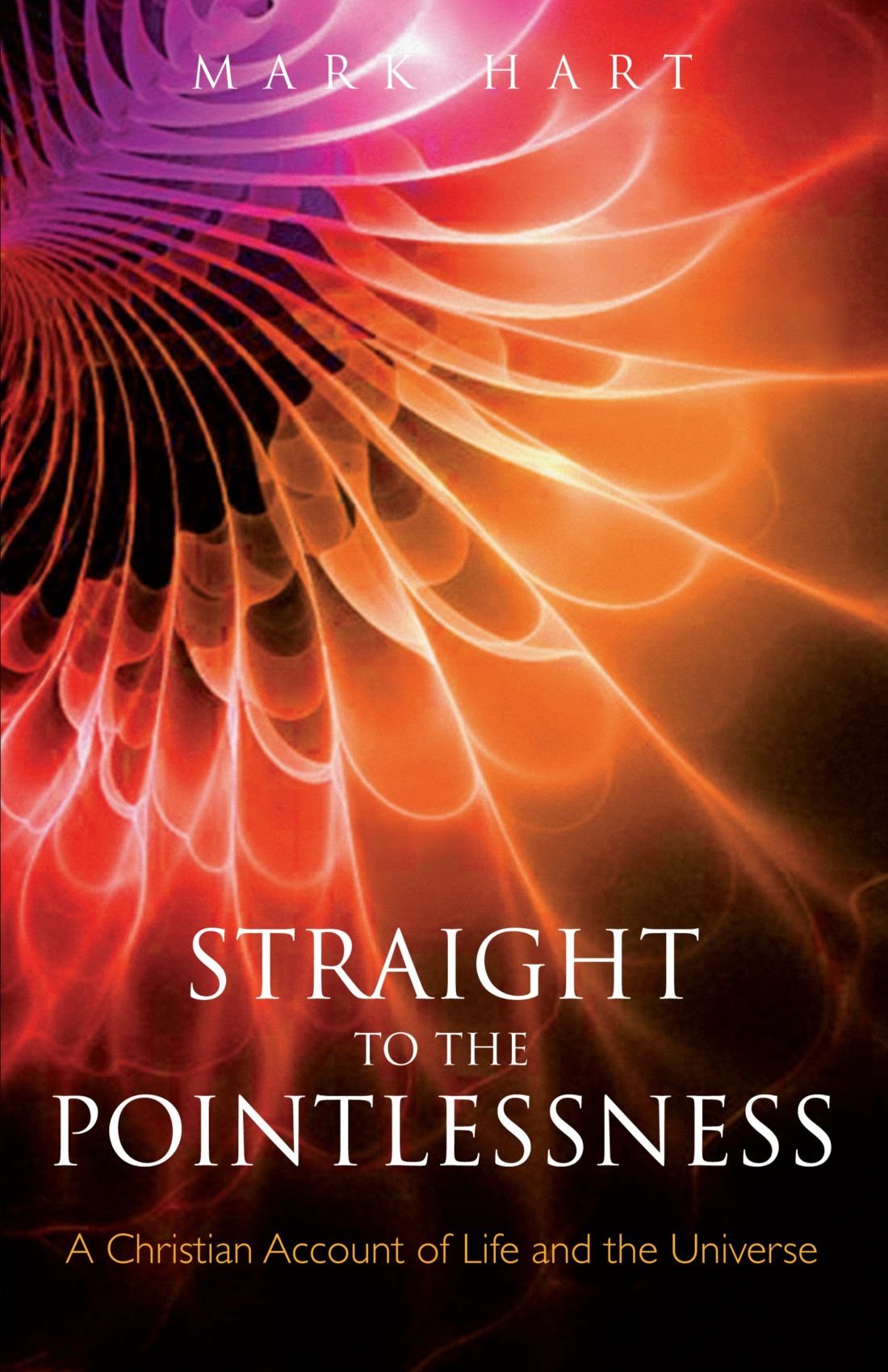 Straight to the Pointlessness: A Christian account of life and the universe,Used