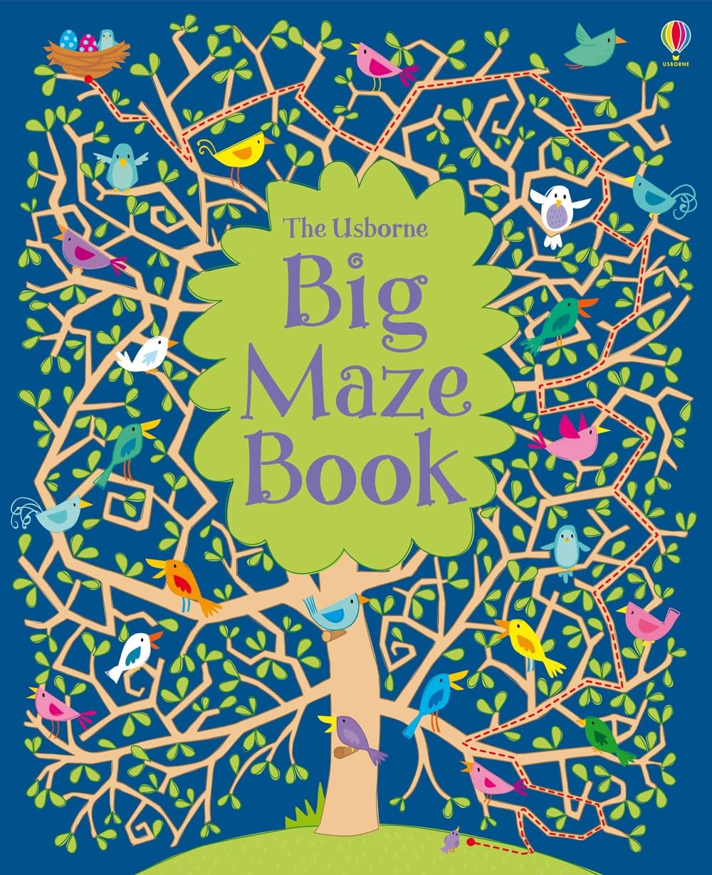Big Maze Book (Maze Books),New