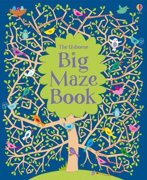 Big Maze Book (Maze Books),New