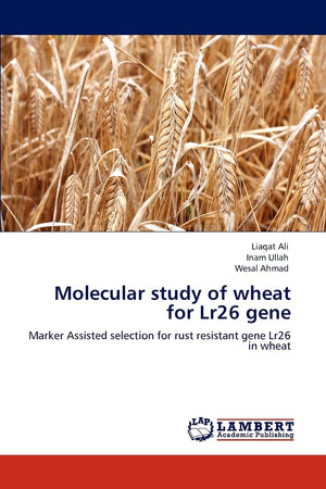Molecular study of wheat for Lr26 gene: Marker Assisted selection for rust resistant gene Lr26 in wheat,Used