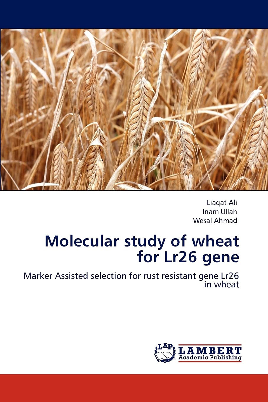Molecular study of wheat for Lr26 gene: Marker Assisted selection for rust resistant gene Lr26 in wheat,Used