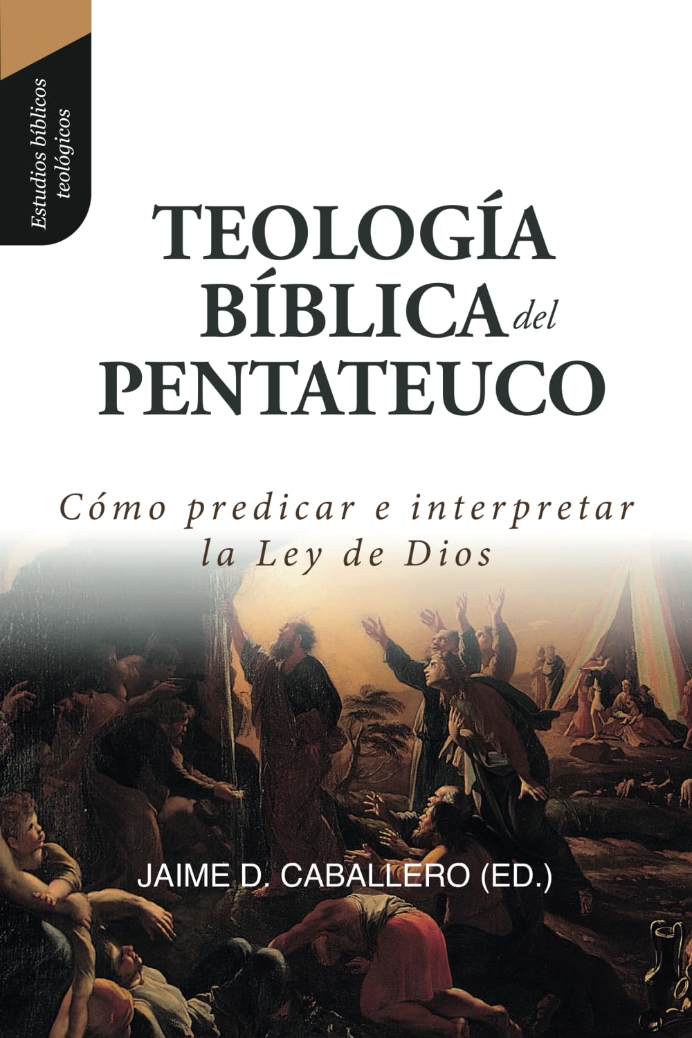 Teologia Biblica del Pentateuco: Como predicar e interpretar la Ley de Dios (Estudios Bblicos Teologicos) (Spanish Edition),Used