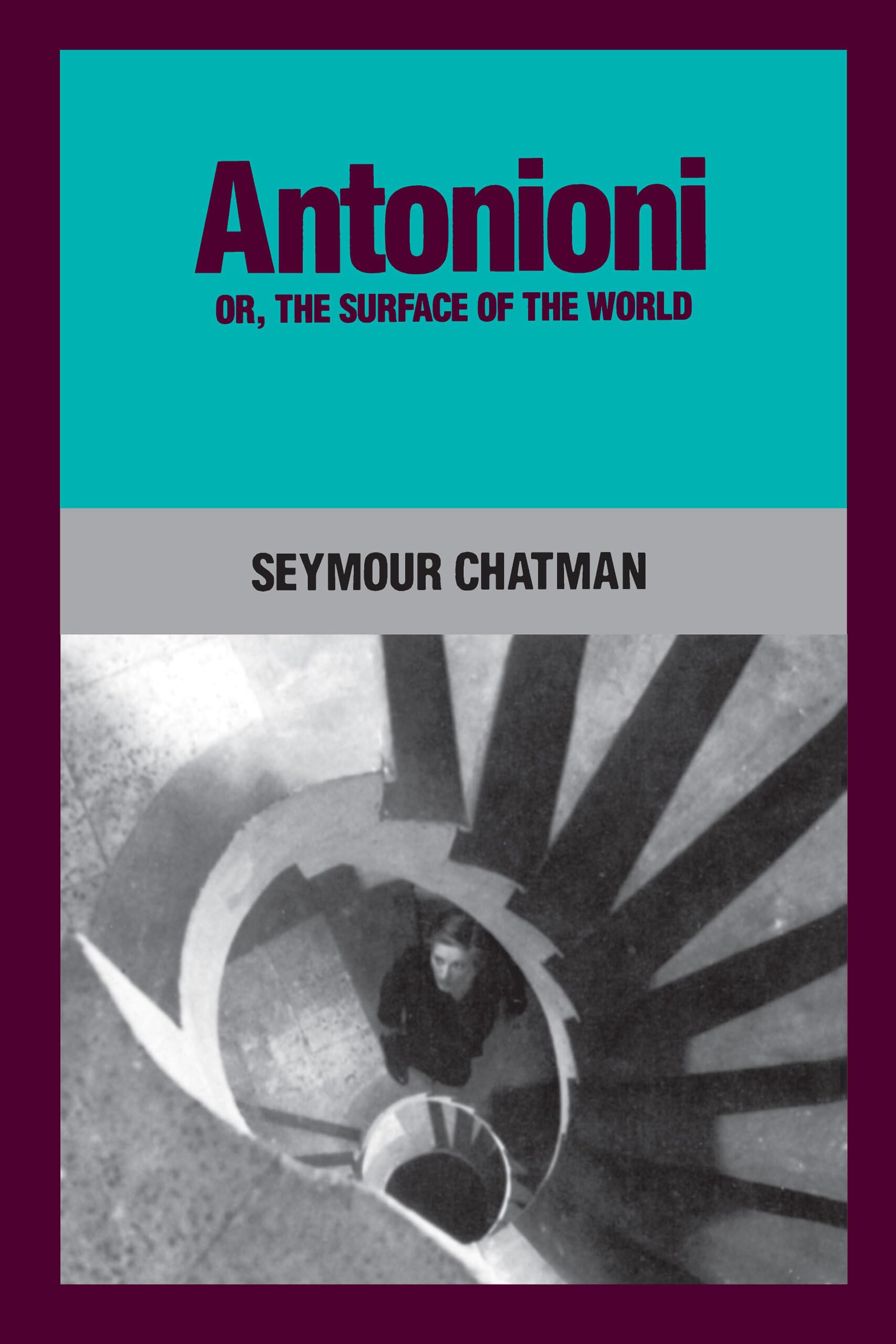 Antonioni, or, The Surface of the World,Used