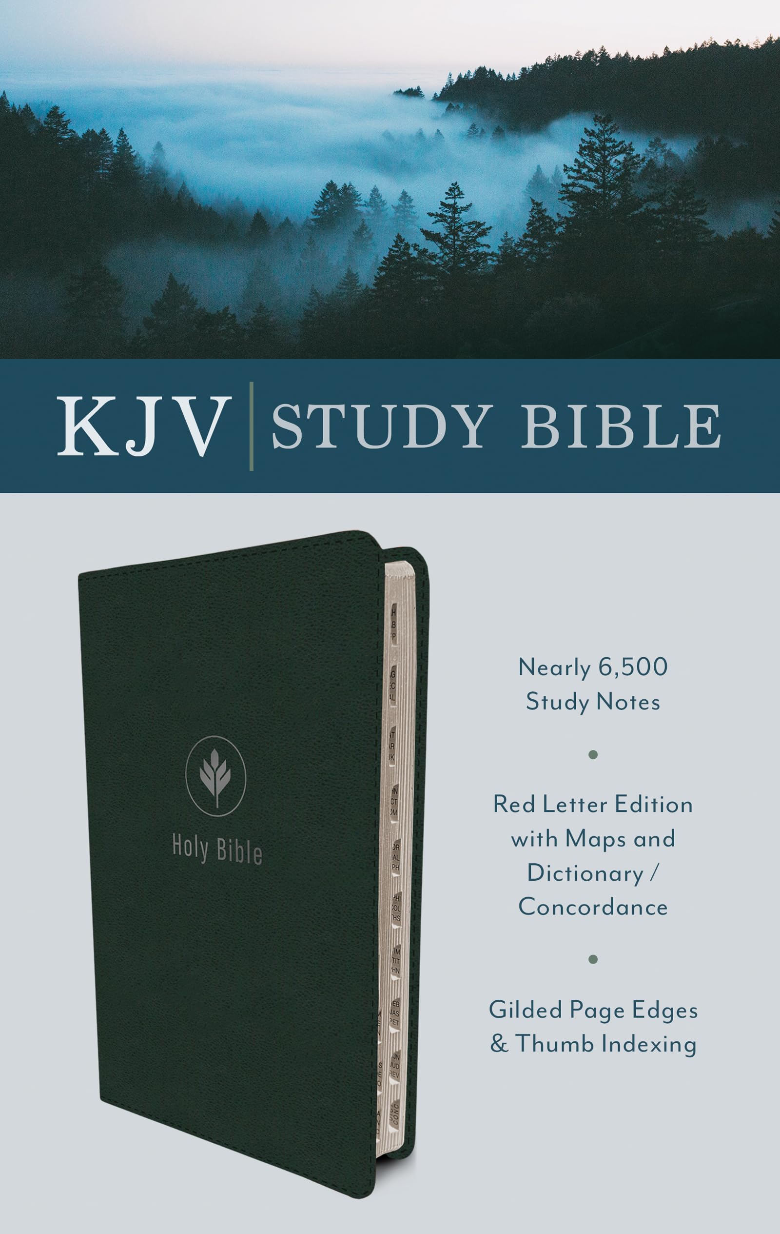 The Kjv Study Bible (Indexed) [Evergreen Fog],New