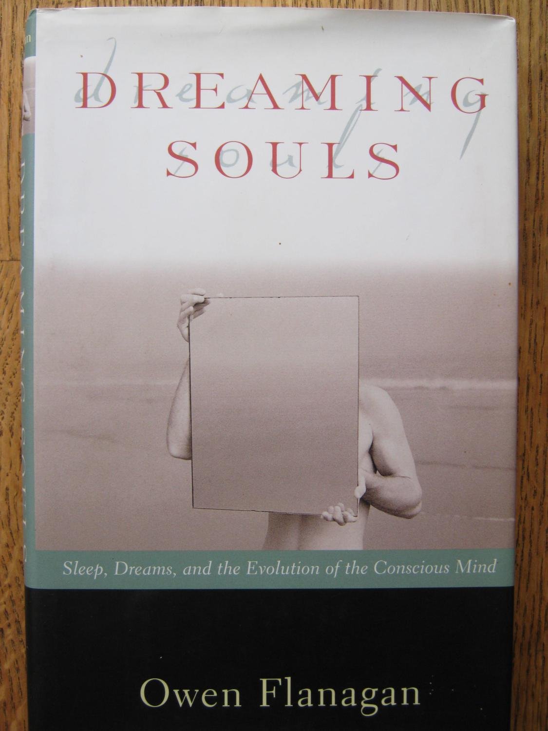 Dreaming Souls: Sleep, Dreams And The Evolution Of The Conscious Mind (Philosophy Of Mind Series),Used
