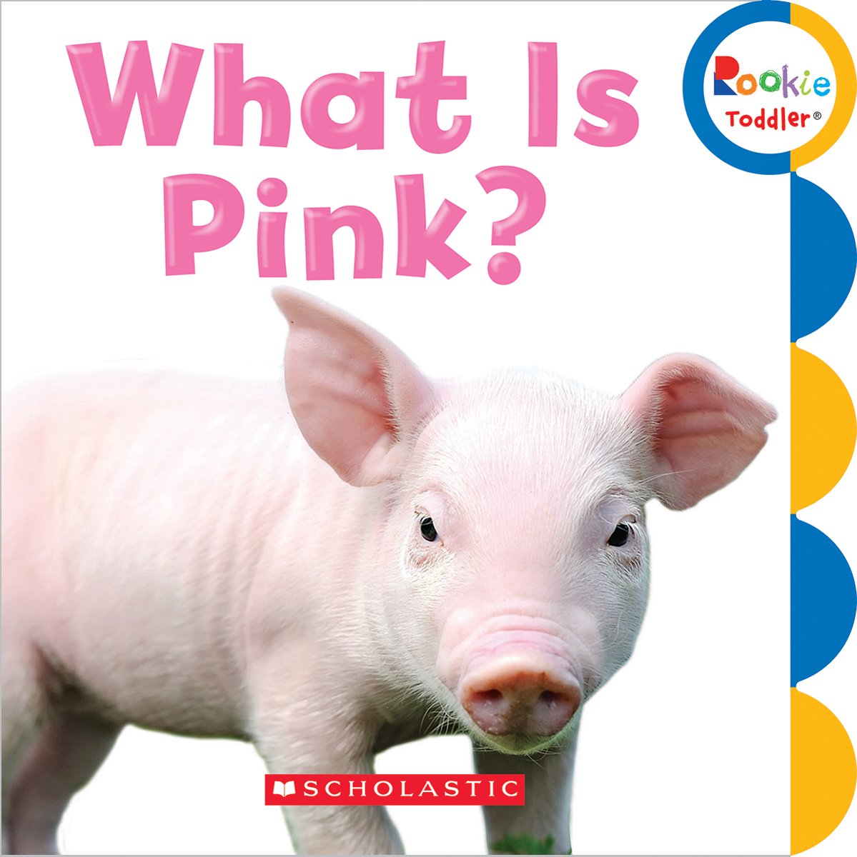 What Is Pink? (Rookie Toddler),Used