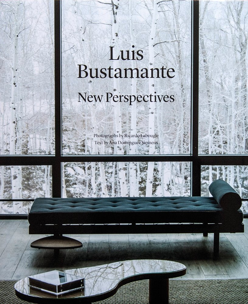 Luis Bustamante: New Perspectives,New