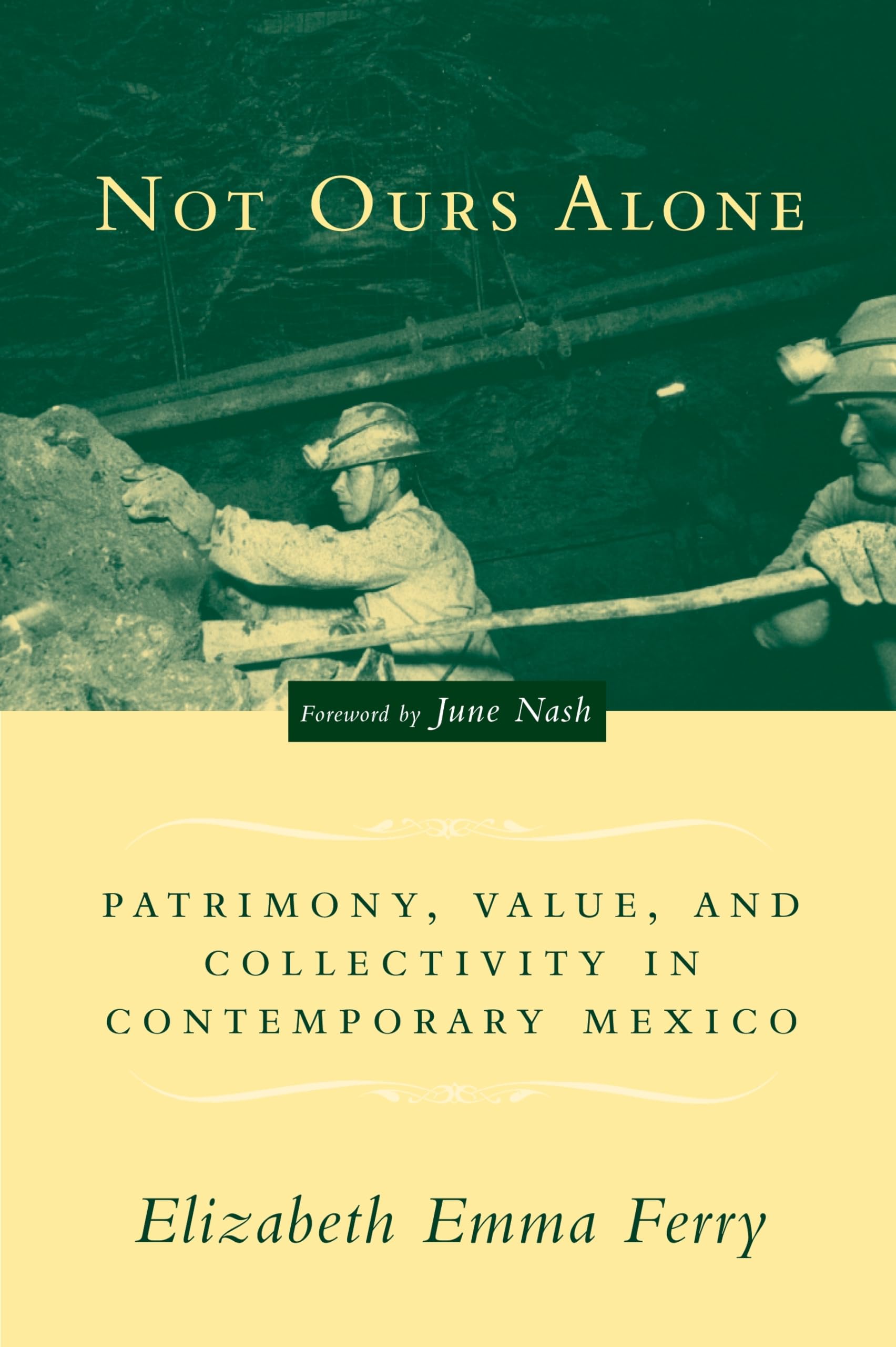 Not Ours Alone: Patrimony, Value, and Collectivity in Contemporary Mexico,New