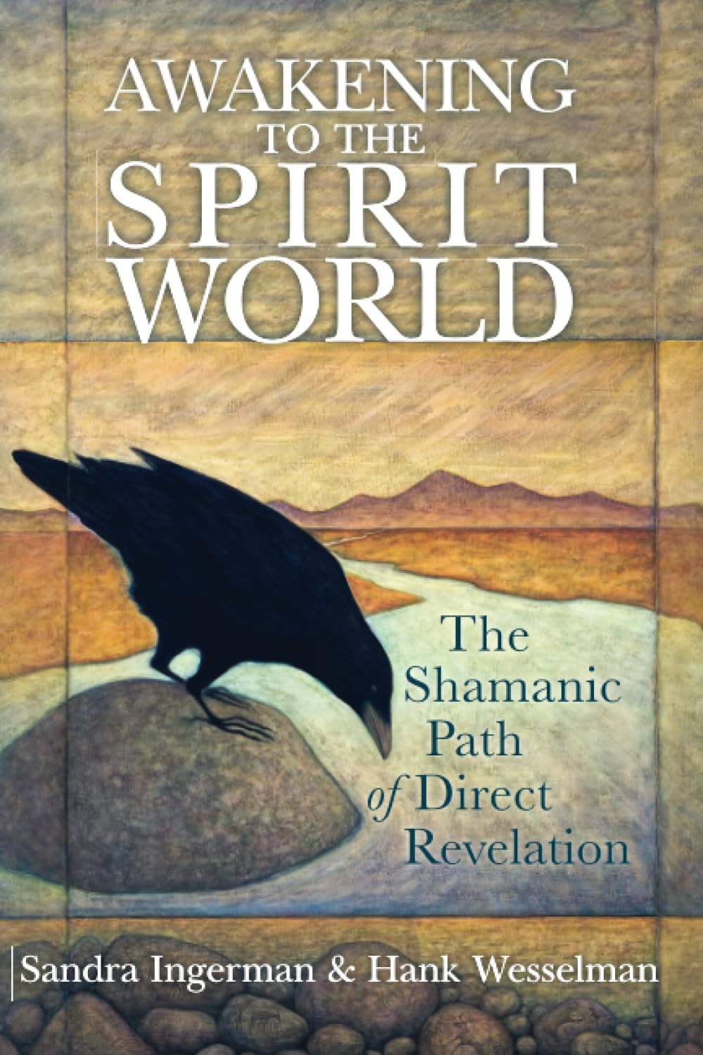Awakening to the Spirit World: The Shamanic Path of Direct Revelation,Used