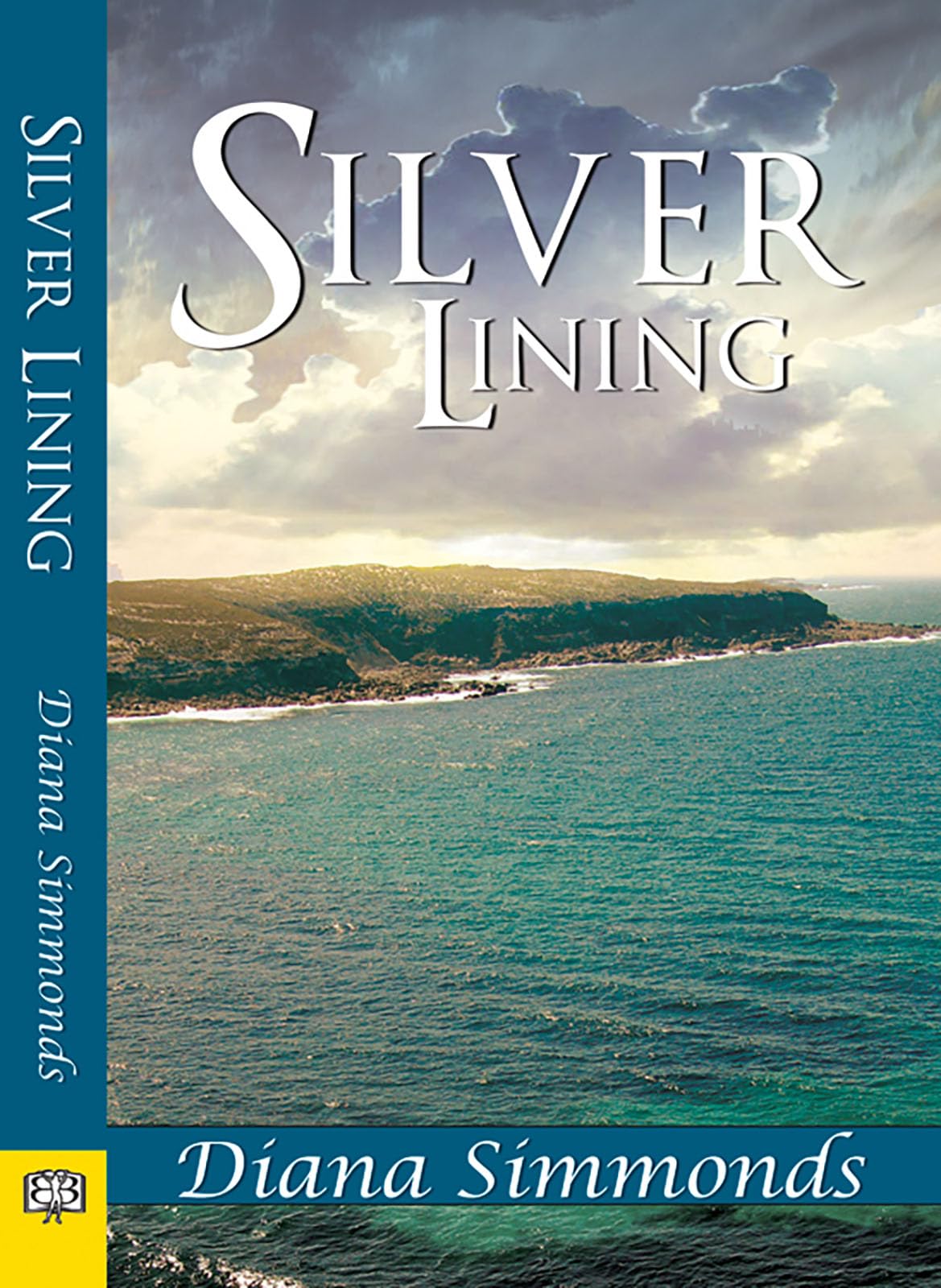 Silver Lining,Used