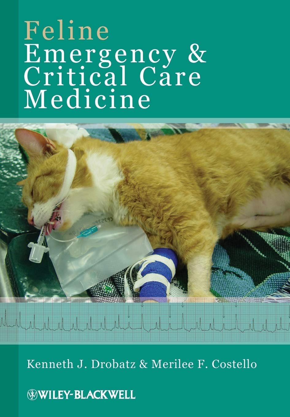 Feline Emergency And Critical Care Medicine,Used