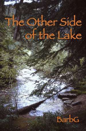 The Other Side Of The Lake,New