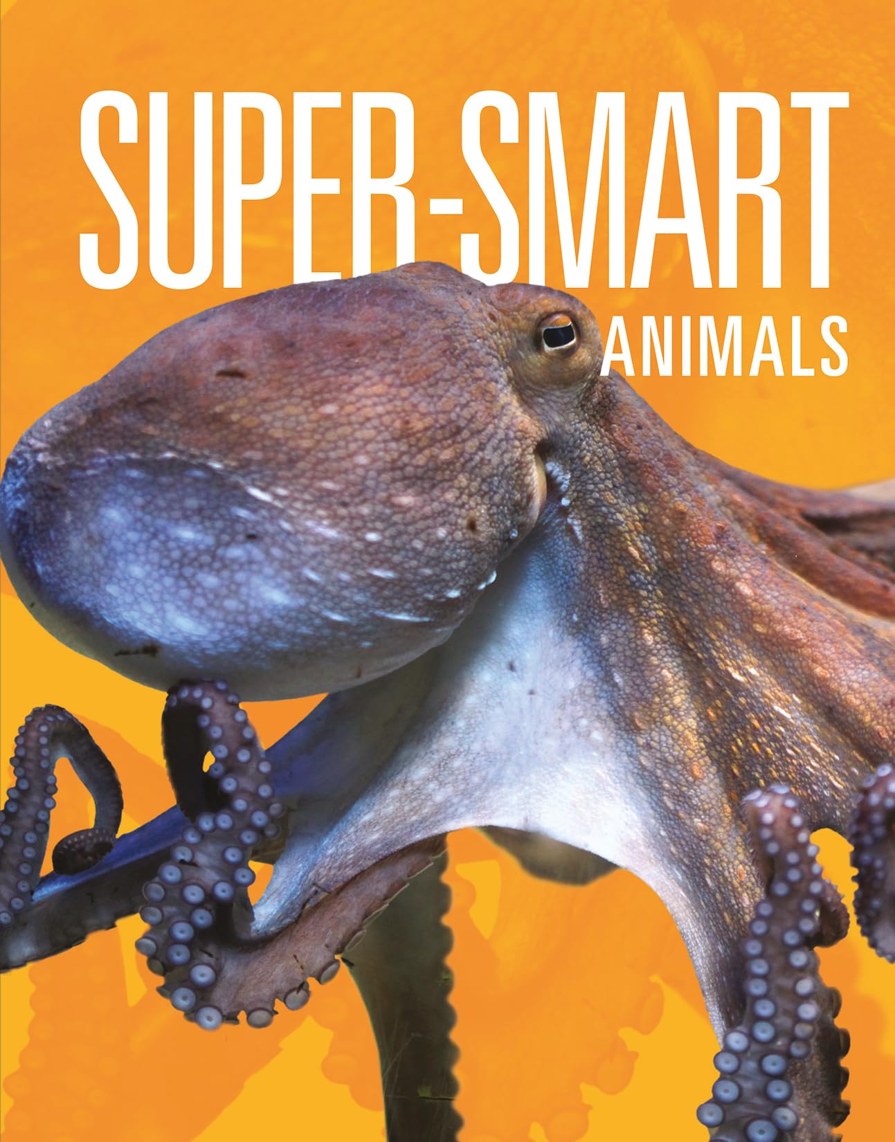 SUPER SMART ANIMALS