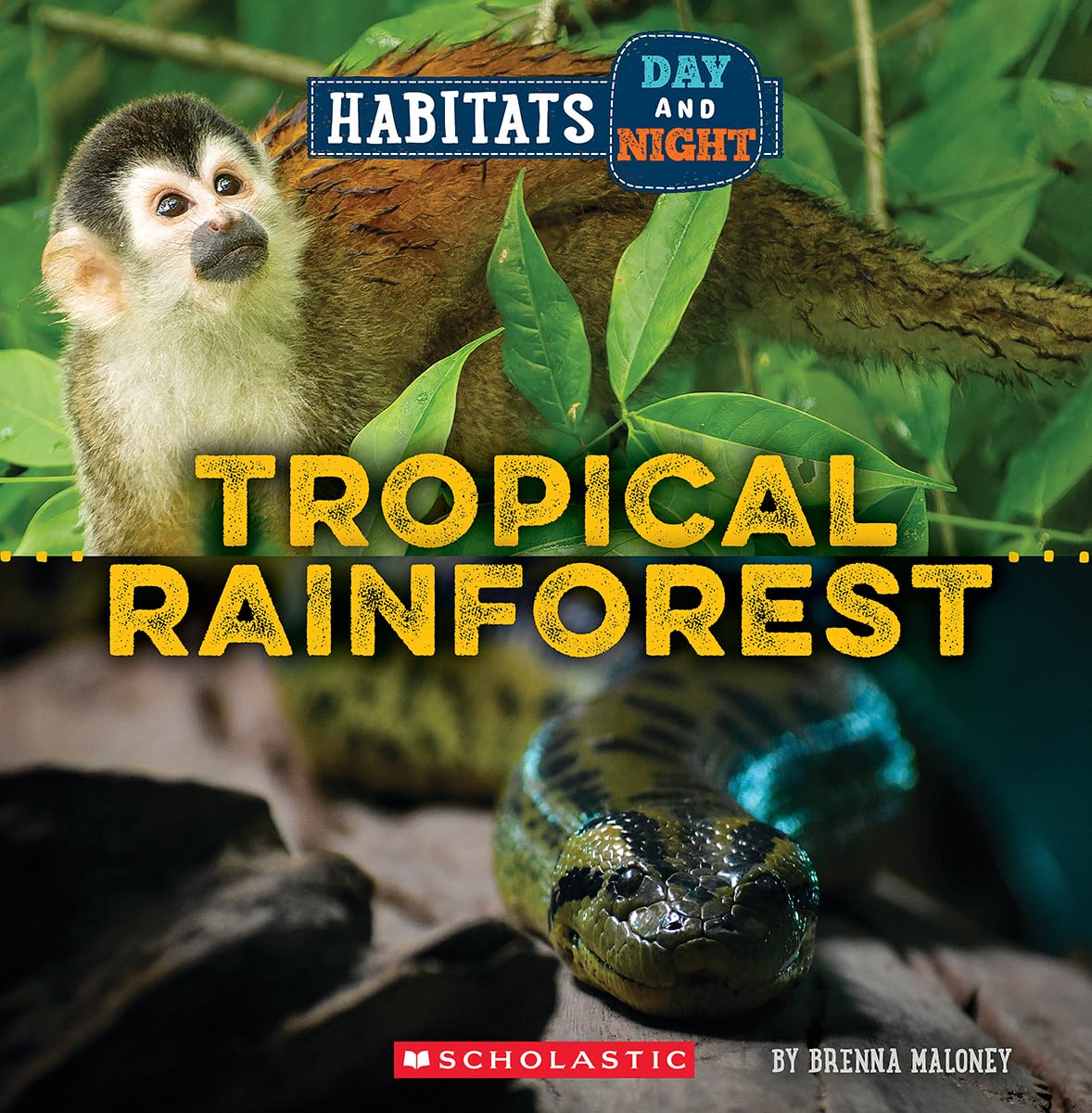 Tropical Rainforest (Wild World: Habitats Day And Night),Used