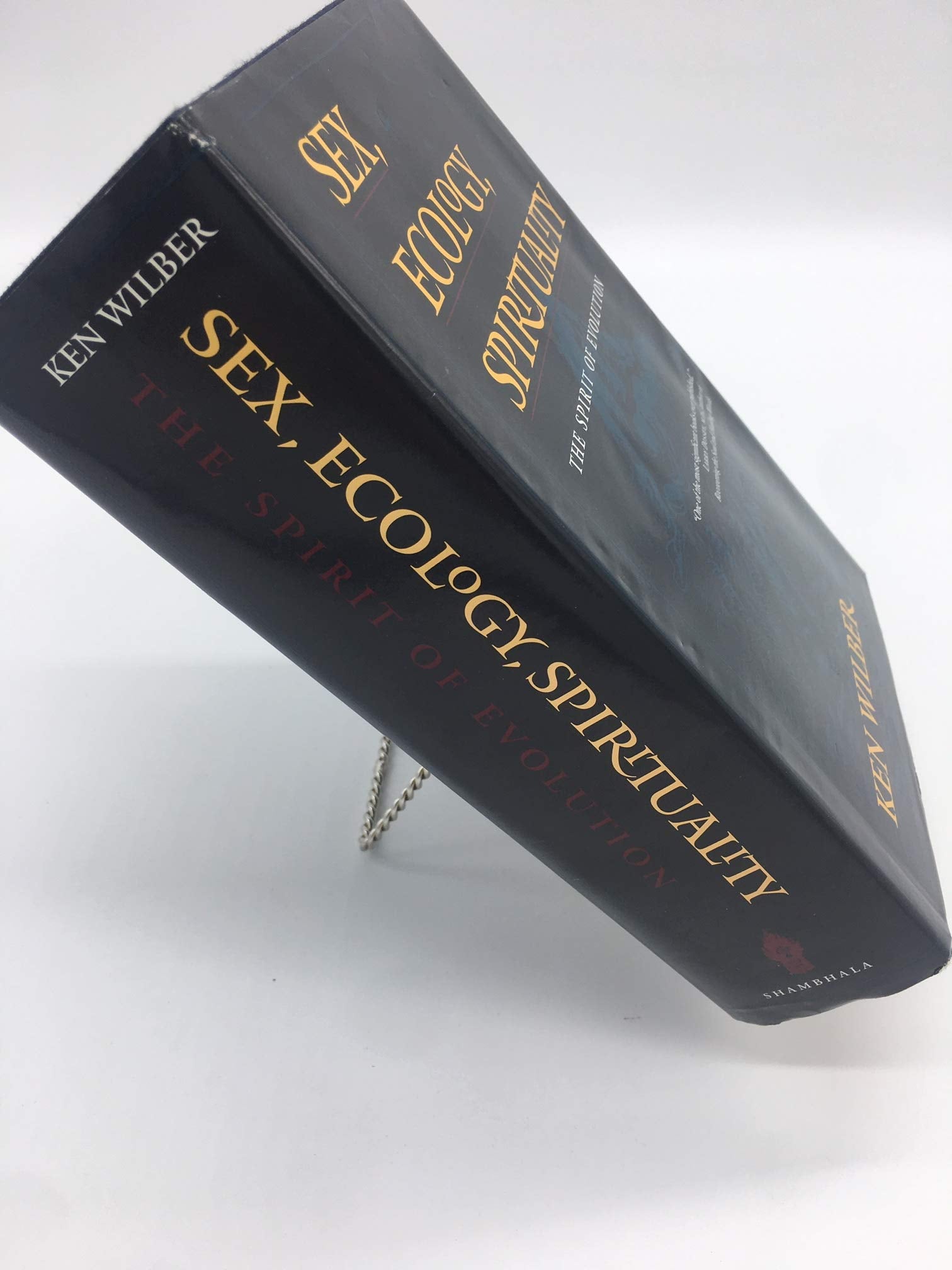Sex, Ecology, Spirituality: The Spirit of Evolution,Used