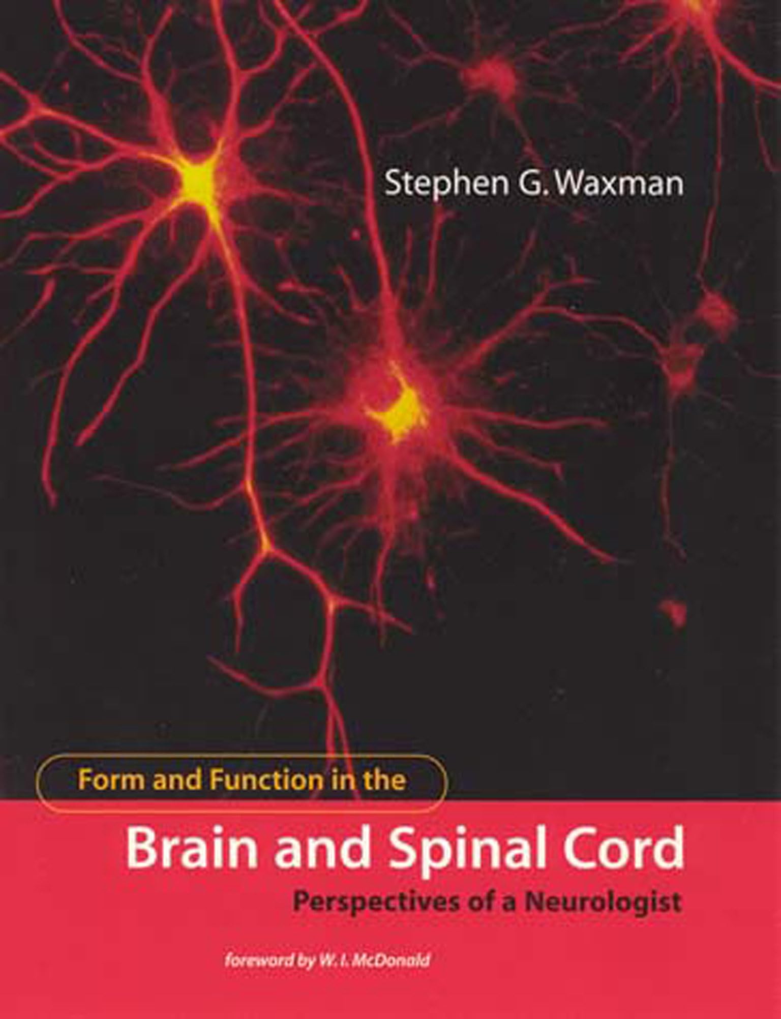 Form and Function in the Brain and Spinal Cord: Perspectives of a Neurologist (Mit Press),Used