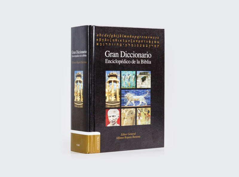 Gran diccionario enciclop?dico de la Biblia (Spanish Edition),Used