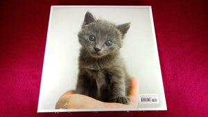 The Life and Love of Cats,Used
