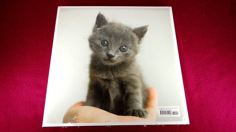 The Life and Love of Cats,Used