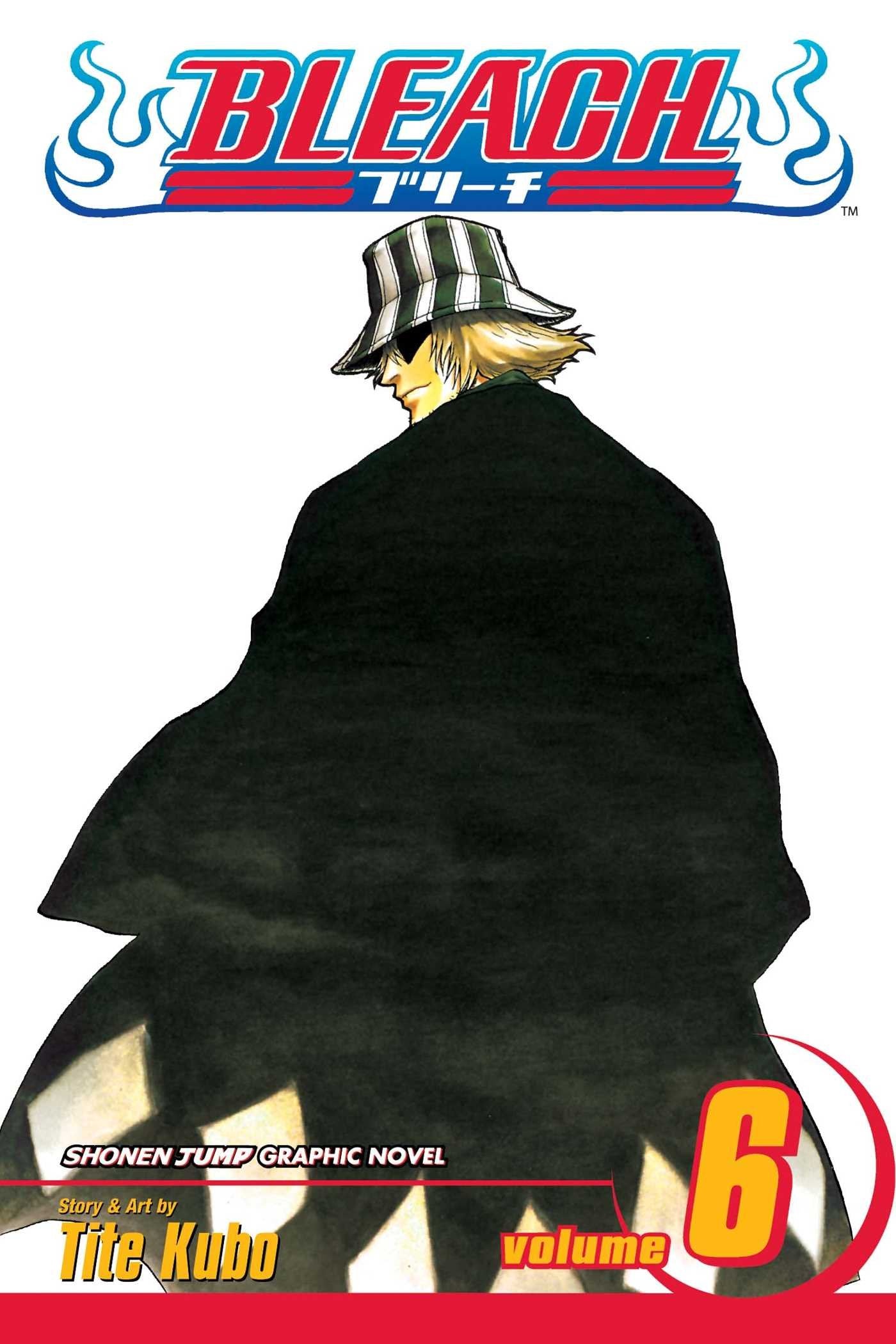 Bleach, Vol. 6,New