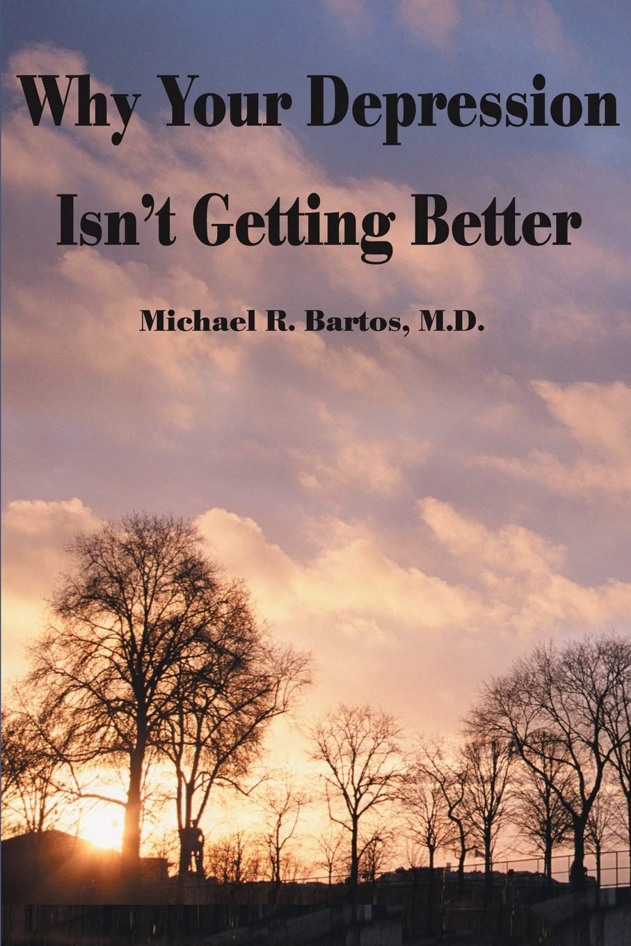 Why Your Depression Isn't Getting Better: The Epidemic of Undiagnosed Bipolar Disorders,Used