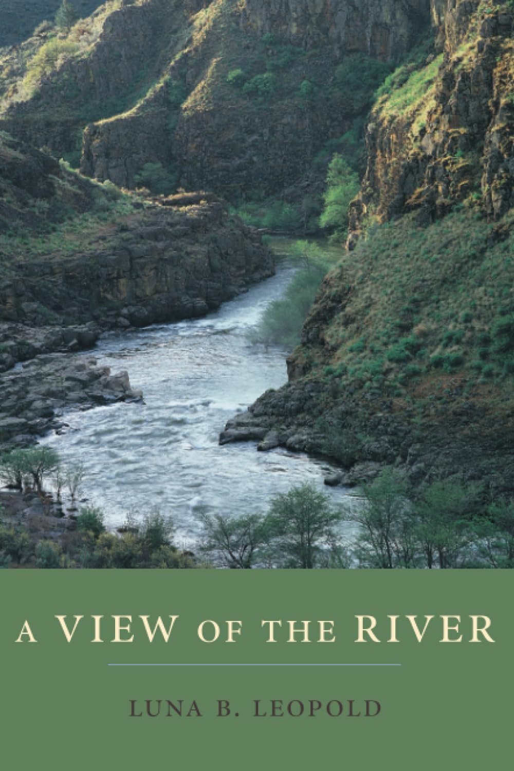 A View of the River,Used