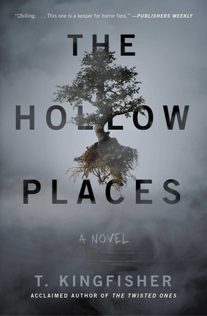 The Hollow Places: A Novel,New