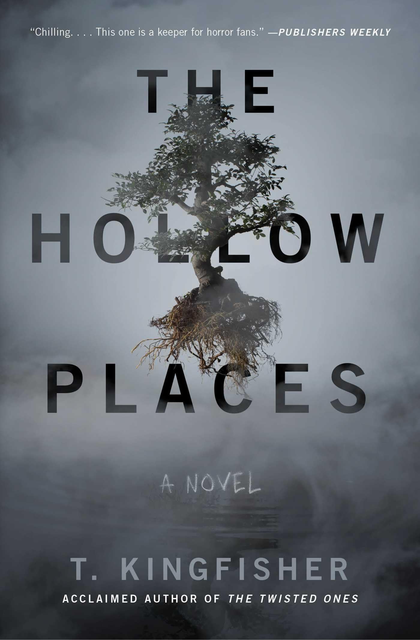 The Hollow Places: A Novel,Used
