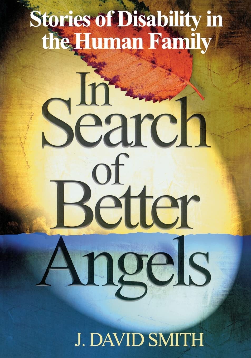 In Search of Better Angels: Stories of Disability in the Human Family,Used